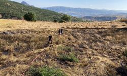 Giresun'da buğday ekili tarla yandı