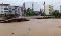 GÜNCELLEME - Giresun'da şiddetli yağış etkili oluyor