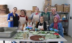 Karadeniz'e özgü "kokulu üzümü" ülkeye tanıtıyor