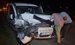 Samsun'da park halindeki araca çarpan hafif ticari aracın sürücüsü yaralandı