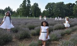 Lavanta tarlası alternatif turizm rotası oldu