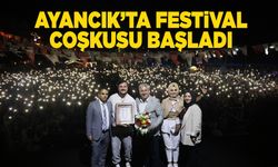 Ayancık'ta Geleneksel 28. Kültür ve Ahşap Festivali başladı