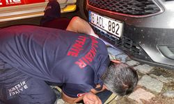 BALIKESİR - Otomobilin motor bölümünde bir gün mahsur kalan kedi kurtarıldı