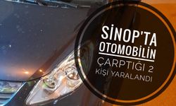 Sinop'ta otomobilin çarptığı 2 kişi yaralandı