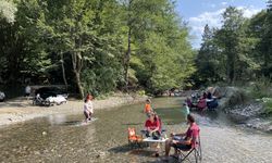 Bolu ve Zonguldak'ta sıcak havadan bunalanlar dere ve sahilleri doldurdu