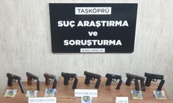 Kastamonu'da ruhsatsız silah ve uyuşturucu operasyonu