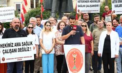 Veteriner hekimler şiddete karşı bir araya geldi