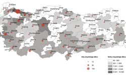 İstanbul’dan Sinop’a tersine göç