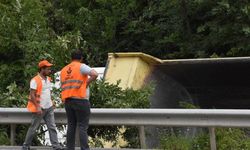 Sinop-Boyabat yolunda kamyon devrildi: 1 yaralı