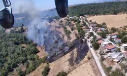 Çanakkale'de çıkan orman yangınına müdahale ediliyor