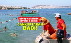 Sinop'ta sahiller güvende! Cankurtaran Badi iş başında