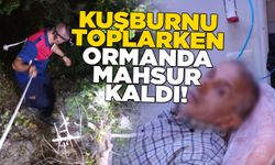 Kuşburnu toplarken ormanda mahsur kaldı