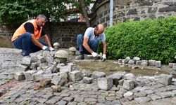 Giresun'da sağanağın yol açtığı hasar gideriliyor