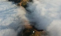 Artvin’de sis bulutunun oluşturduğu manzara hayran bıraktı