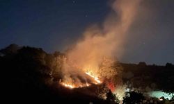 Kocaeli’de anız yangını: Köpek dumanların arasından kurtarıldı