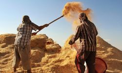 Tarımsal girdi fiyat endeksi yıllık yüzde 34,32, aylık yüzde 6,56 arttı