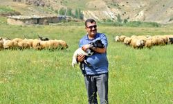 TÜDKİYEB Genel Başkanı Çelik: “Hibe projelerinin hayata geçirilmesi hayvan sayımızın artırılması bakımından önemli”