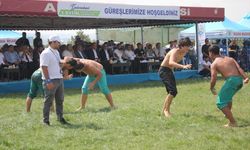 AMASYA - Suluova Karakucak Güreşleri'nin başpehlivanı Erhan Yaylacı oldu