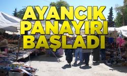 Ayancık Panayırı başladı