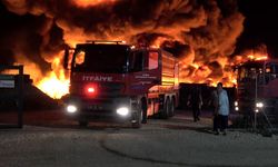 BURSA - Soğuk hava deposunda çıkan yangın söndürüldü