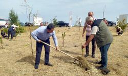 Fidanlar sağlık için toprakla buluştu