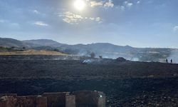 TUNCELİ - Kuru otlarla kaplı arazide çıkan yangın söndürüldü