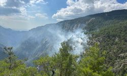 BURDUR - Karanlıkdere Kanyonu'nda çıkan orman yangını kontrol altına alındı