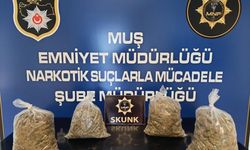 MUŞ - 3 kilo 910 gram uyuşturucu ele geçirildi