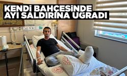 Ayı saldırısına uğrayan bir kişi yaralandı