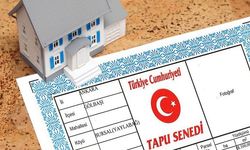 TAPUSUZ TAŞINMAZ TESCİLİ