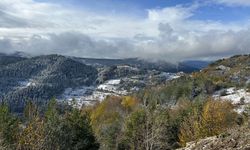 Kastamonu ormanlarında sonbahar ve kış güzelliği bir arada yaşanıyor