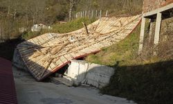 Ordu'da şiddetli rüzgar hayatı olumsuz etkiliyor