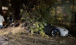 ANKARA - Rüzgar nedeniyle üzerine ağaç devrilen otomobil hasar gördü