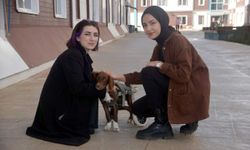 'Şanslı', Sinop'ta öğrencilerin ilgi odağı oldu