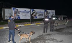 BALIKESİR - Şok asayiş uygulamasında, aranan 11 şüpheli yakalandı