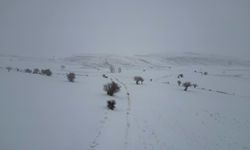Bayburt'ta kar etkili oluyor