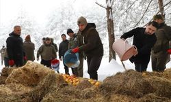 Düzce'de yaban hayvanları için doğaya yem bırakıldı