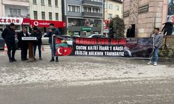 Tokat'ta "Gazze için acil ateşkes" etkinliği düzenlendi