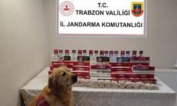 Trabzon'da kaçak sigara operasyonunda 2 kişi gözaltına alındı