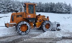 ARDAHAN - Kar ve tipi nedeniyle kapanan 207 köy yolu ulaşıma açıldı