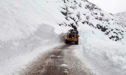 HAKKARİ - 2 köyün yolu çığ nedeniyle kapandı