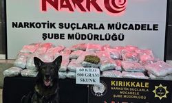 KIRIKKALE - Tırın dorsesine gizlenmiş 60,5 kilogram skunk ele geçirildi