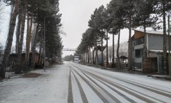 Tokat'ın Başçiftlik ilçesinde kar yağışı etkili oldu