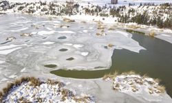 BİTLİS - Yüzeyi buzla kaplanan Ahlat'taki "Kuş Cenneti" dronla görüntülendi