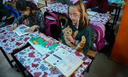 İZMİR - "Fıstık" isimli kedi, kitap okuma projesinin maskotu oldu