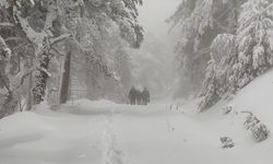 Kütahya'da ormanda kar ve sis nedeniyle mahsur kalan 3 kesim işçisi kurtarıldı