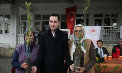 MUĞLA - Hibe olarak dağıtılan defne fideleri çiftçilere gelir kapısı oldu