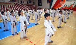 MUŞ - 250 çocuğun "Karate Kuşak Terfi Töreni" düzenlendi