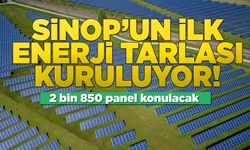 Sinop'un ilk enerji tarlası kuruluyor