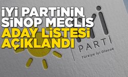 İYİ Parti Sinop meclis aday listesi belli oldu